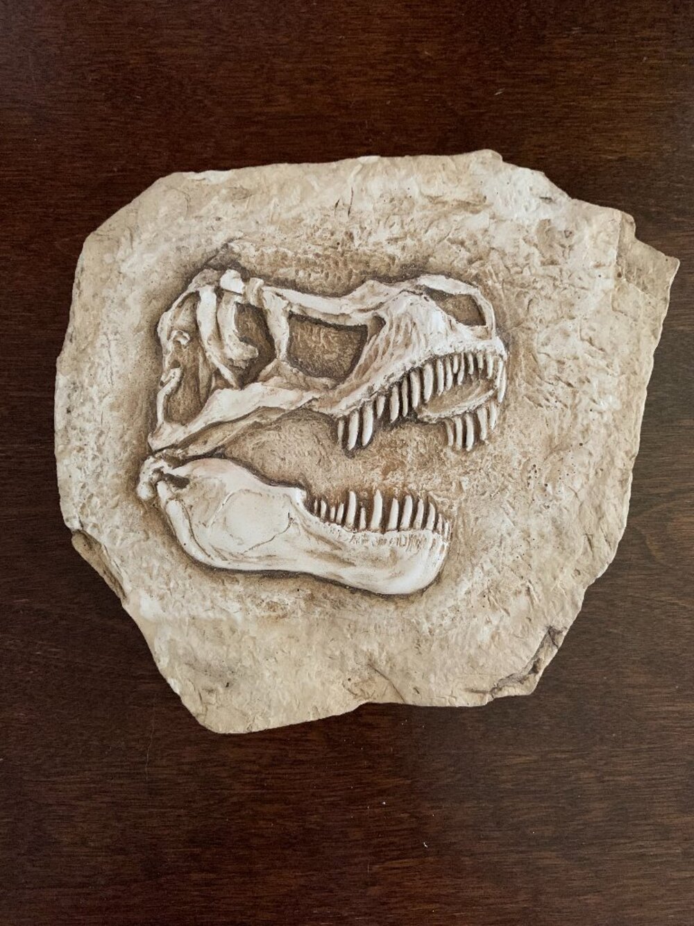 T-REX WALL PLAQUE Dinosaur Plaster Ceramic Wall Hanging with Hanger